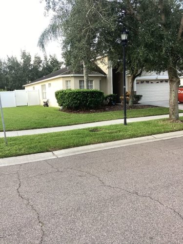Lawn Services Brandon Fl 8.18.26 61