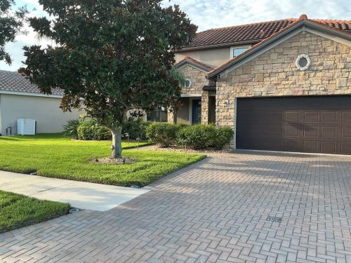 Lawn Services Brandon Fl 8.18.26 62