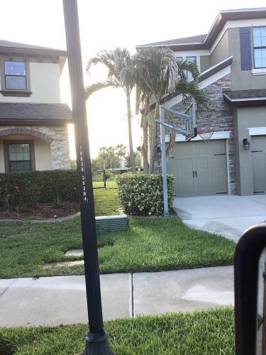 Lawn Services Brandon Fl 8.18.26 65