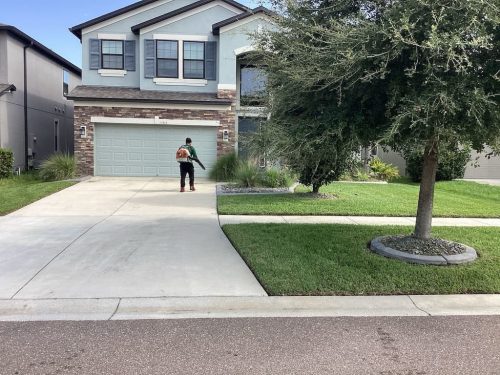 Lawn Services Brandon Fl 8.18.26 70
