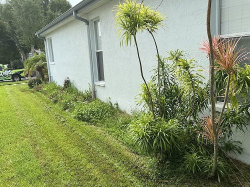 Lawn Services Brandon Fl 8.18.26 72