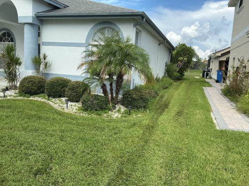 Lawn Services Brandon Fl 8.18.26 75