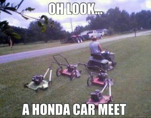 Lawn Services Brandon Fl 8.18.26 78