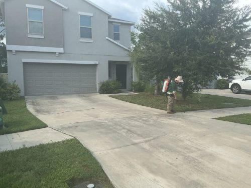 Lawn Services Brandon Fl 8.18.26 79