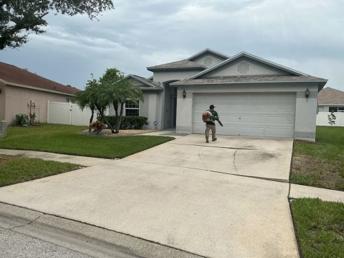 Lawn Services Brandon Fl 8.18.26 81