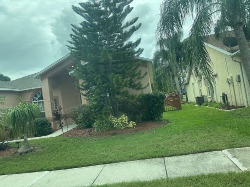 Lawn Services Brandon Fl 8.18.26 82
