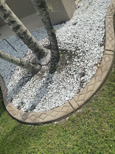 Lawn Services Brandon Fl 8.18.26 86