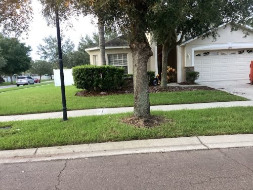 Lawn Services Brandon Fl 8.18.26 87