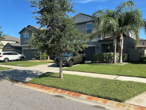 Lawn Services Brandon Fl 8.18.26 88
