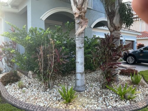 Lawn Services Brandon Fl 8.18.26 89