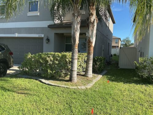 Lawn Services Brandon Fl 8.18.26 91