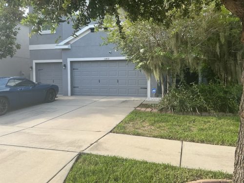 Lawn Services Brandon Fl 8.18.26 93