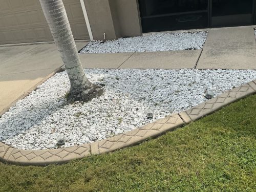 Lawn Services Brandon Fl 8.18.26 94