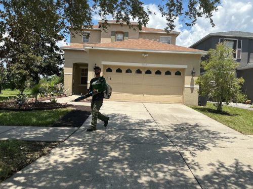 Lawn Services Brandon Fl 8.18.26 99