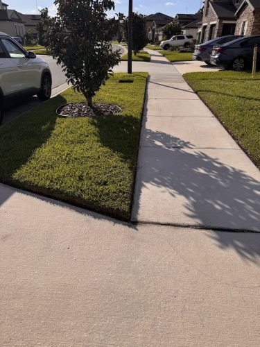 Lawn Services Brandon FL 8.3.26 1