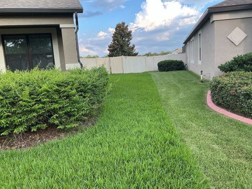 Lawn Services Brandon FL 8.3.26 10