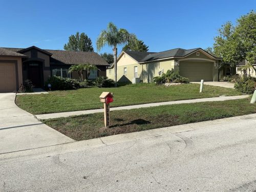 Lawn Services Brandon FL 8.3.26 14