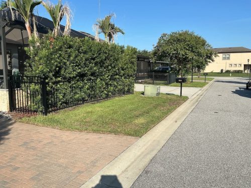 Lawn Services Brandon FL 8.3.26 16