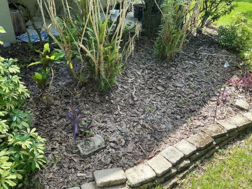 Lawn Services Brandon FL 8.3.26 18