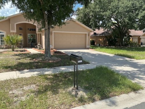 Lawn Services Brandon FL 8.3.26 22