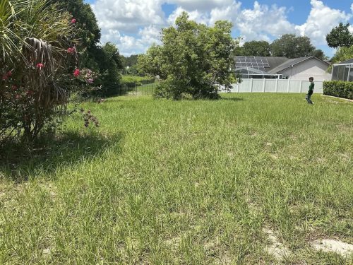 Lawn Services Brandon FL 8.3.26 28
