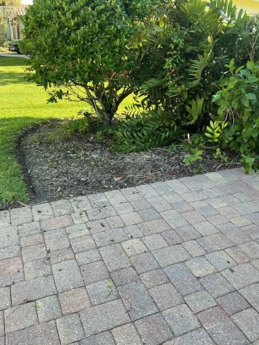 Lawn Services Brandon FL 8.3.26 3