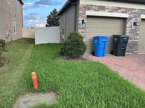 Lawn Services Brandon FL 8.3.26 31