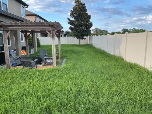Lawn Services Brandon FL 8.3.26 32