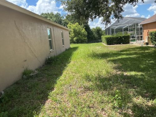 Lawn Services Brandon FL 8.3.26 34