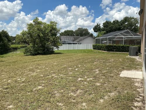 Lawn Services Brandon FL 8.3.26 35