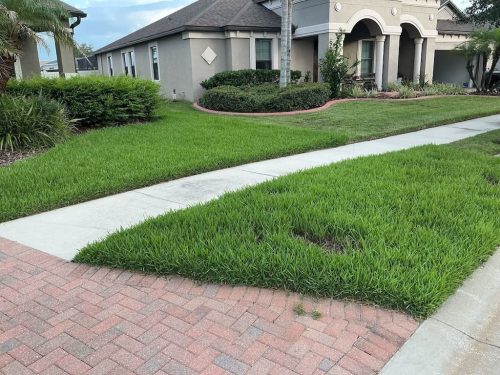 Lawn Services Brandon FL 8.3.26 36