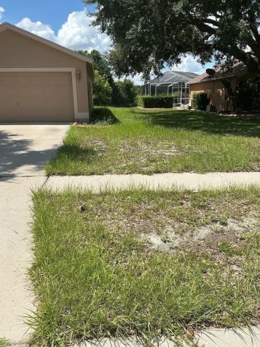 Lawn Services Brandon FL 8.3.26 37