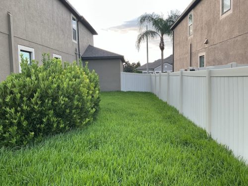 Lawn Services Brandon FL 8.3.26 4