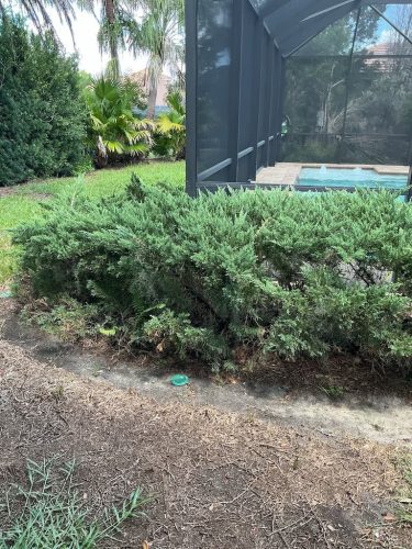 Lawn Services Brandon FL 8.3.26 41