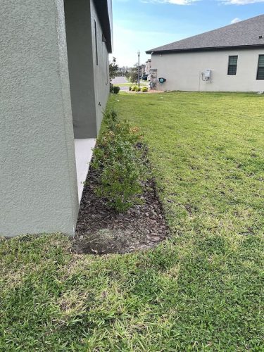 Lawn Services Brandon FL 8.3.26 42