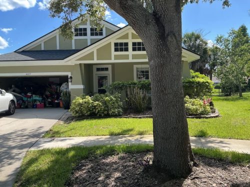Lawn Services Brandon FL 8.3.26 45