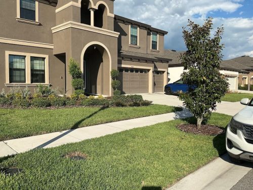 Lawn Services Brandon FL 8.3.26 46