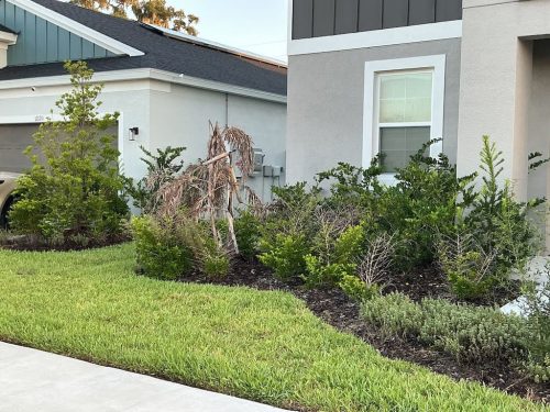 Lawn Services Brandon FL 8.3.26 47
