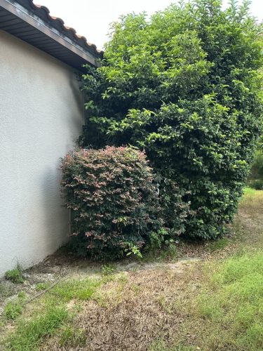 Lawn Services Brandon FL 8.3.26 49