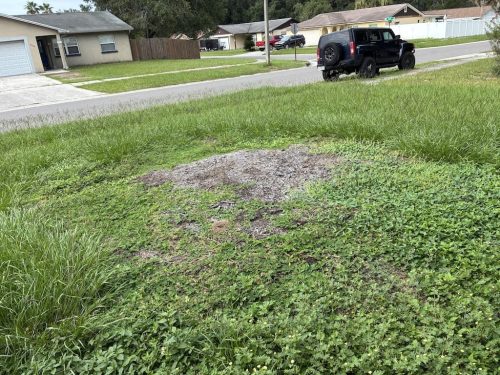 Lawn Services Brandon FL 8.3.26 5