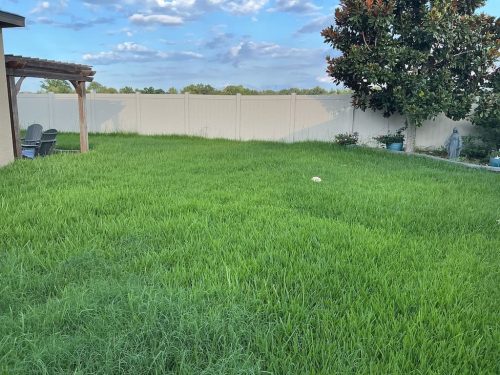 Lawn Services Brandon FL 8.3.26 53