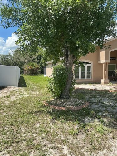 Lawn Services Brandon FL 8.3.26 54
