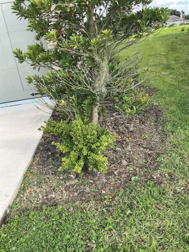 Lawn Services Brandon FL 8.3.26 55