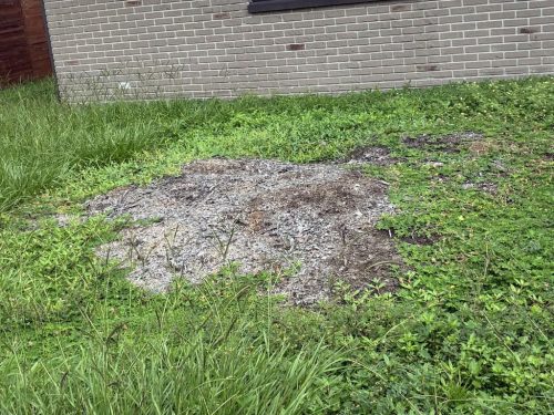 Lawn Services Brandon FL 8.3.26 6