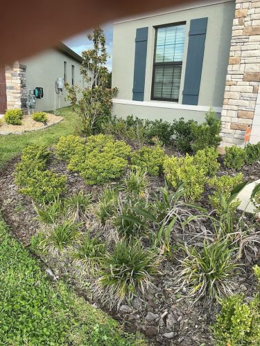 Lawn Services Brandon FL 8.3.26 61