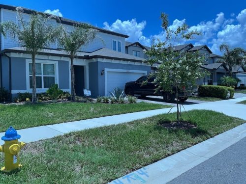 Lawn Services Brandon FL 8.3.26 62