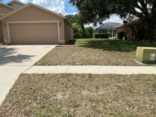Lawn Services Brandon FL 8.3.26 63