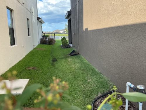 Lawn Services Brandon FL 8.3.26 64