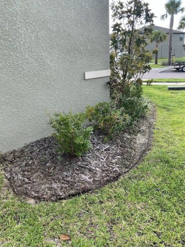 Lawn Services Brandon FL 8.3.26 66