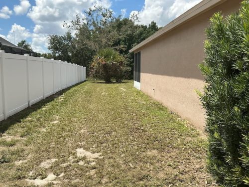 Lawn Services Brandon FL 8.3.26 67